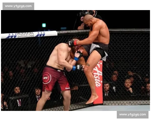 凯恩迎战牛头人：UFC终极对决背后的力量与策略揭秘